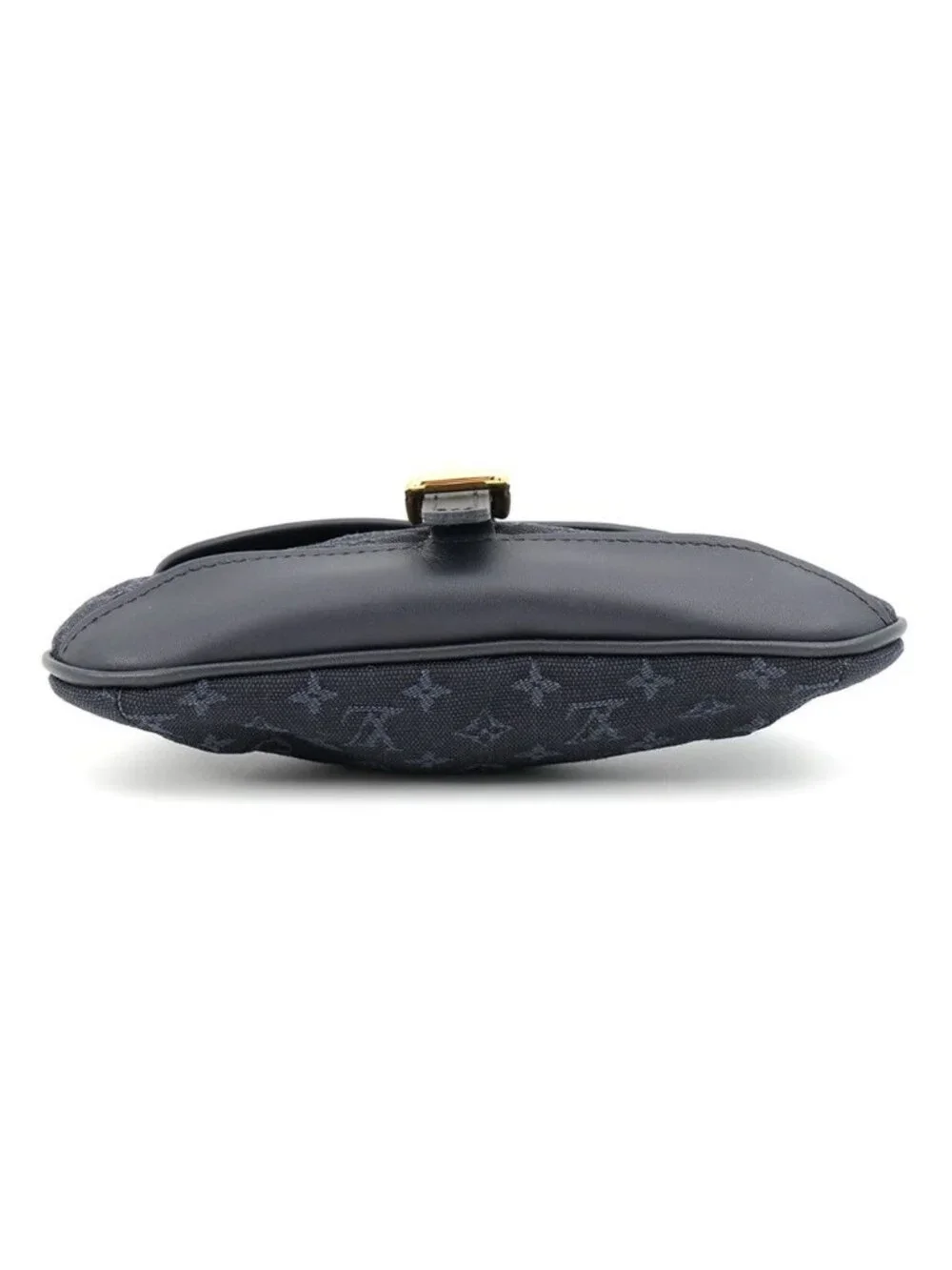 Louis Vuitton Pouch Monogram Mini Anthophy M Case